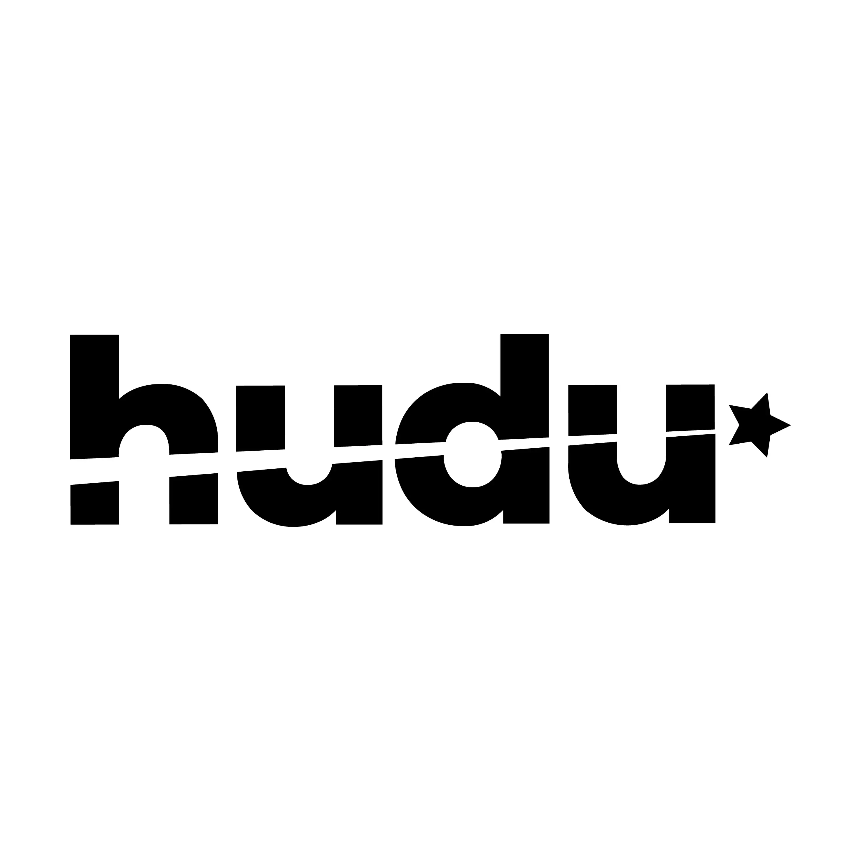 Hudu